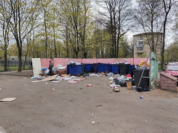 В Токсово обнаружили две незаконные свалки
