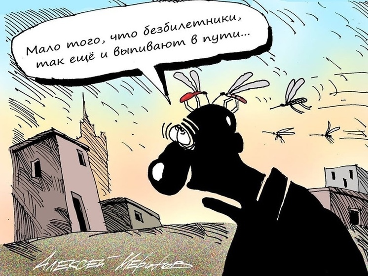10 анекдотов про комаров