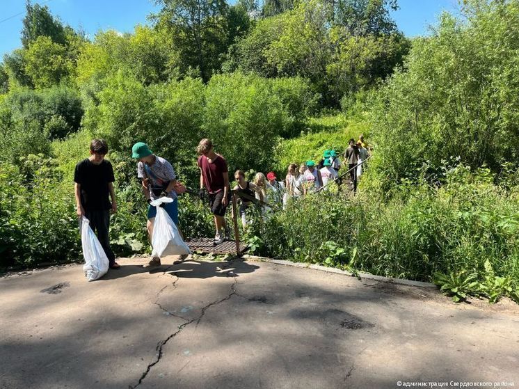 За два месяца в Свердловском районе Перми провели более сотни субботников