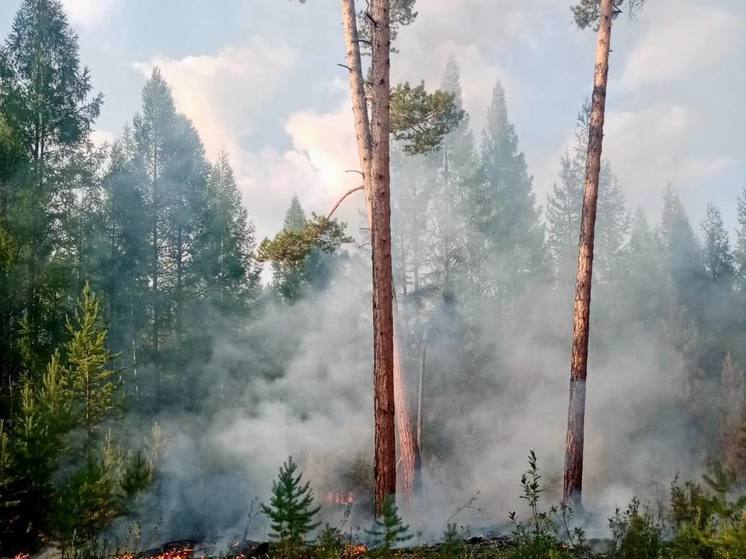 В Бурятии тушат 12 лесных пожаров