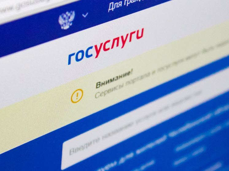 Жители Запорожской области 80 тысяч раз обратились за электронными госуслугами