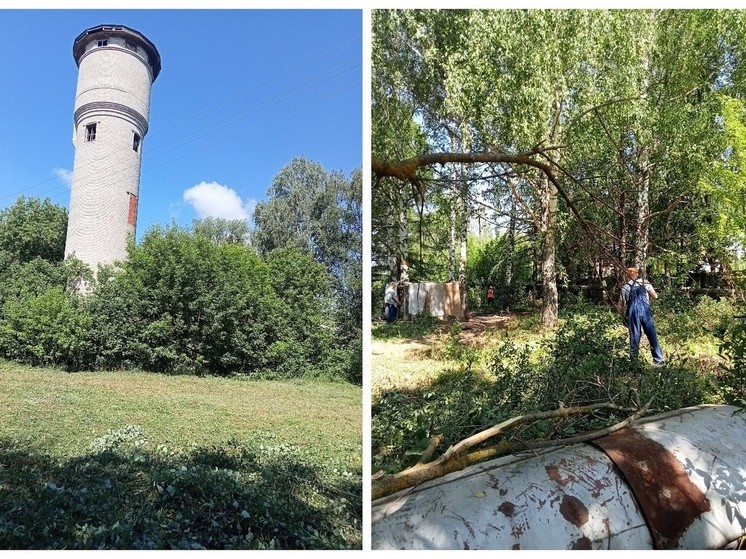 В пригороде Йошкар-Олы появится площадка для выгула собак