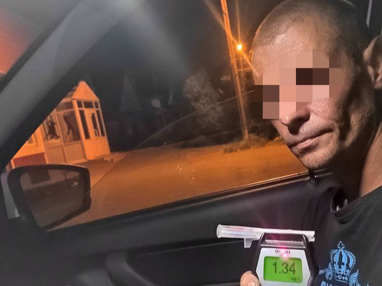 10 пьяных автомобилистов поймали за сутки в Тюменской области