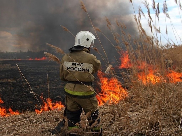 В Миллеровском районе Ростовской области произошел пожар