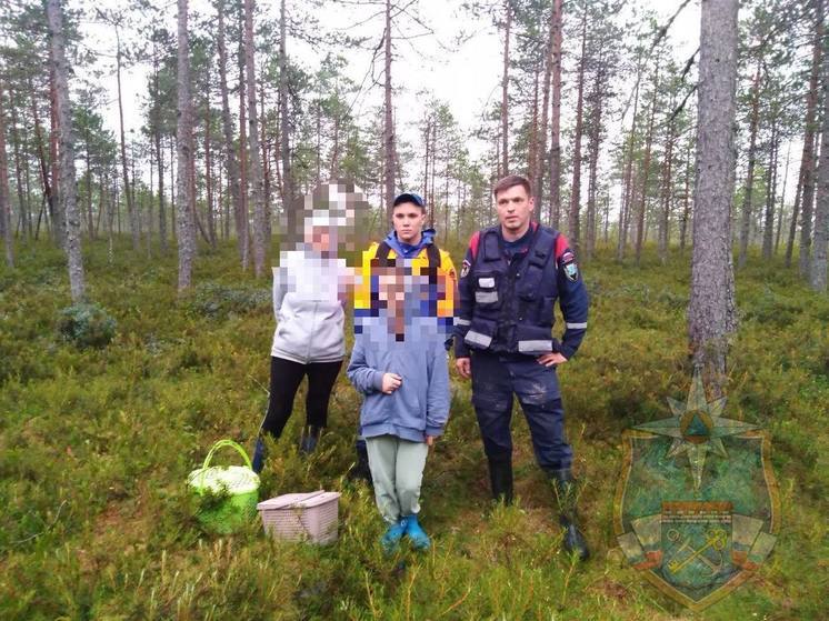 Спасатели вывели из леса Еглино двоих