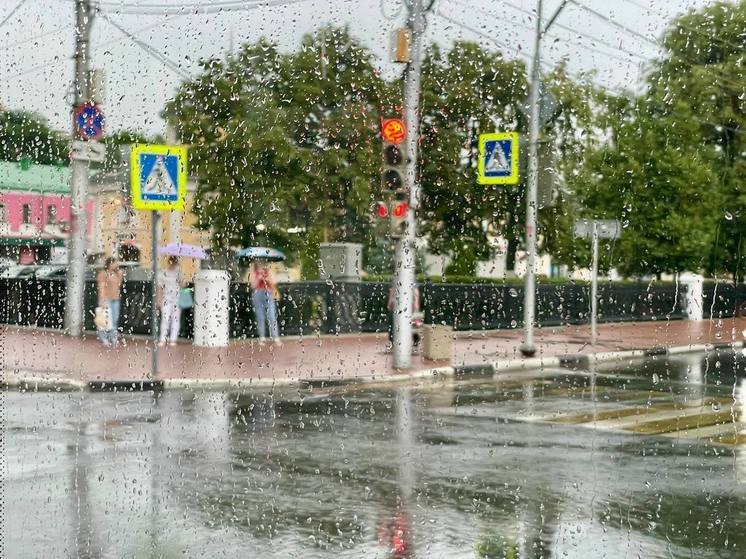 В Рязанской области выпустили метеопредупреждение из-за дождя с грозами