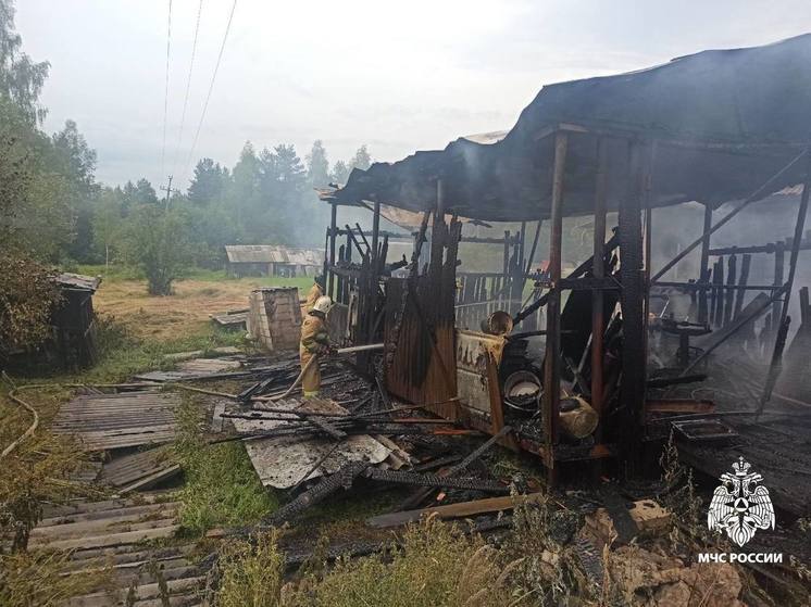 Спасатели МЧС не дали огню с полыхающего гаража перекинуться на дом в Тверской области