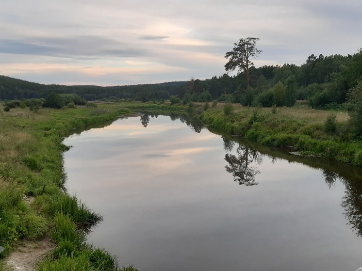 Тело рыбака обнаружили в костре на берегу уральского водоема