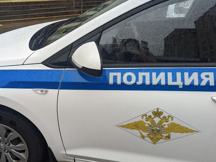 В Лужском районе подожгли авто гендиректора строительной фирмы