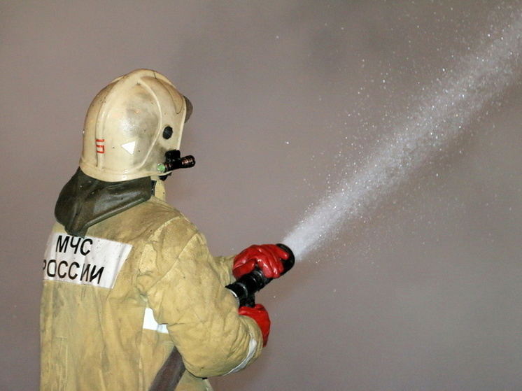 В Починковском районе сгорела «заброшка»