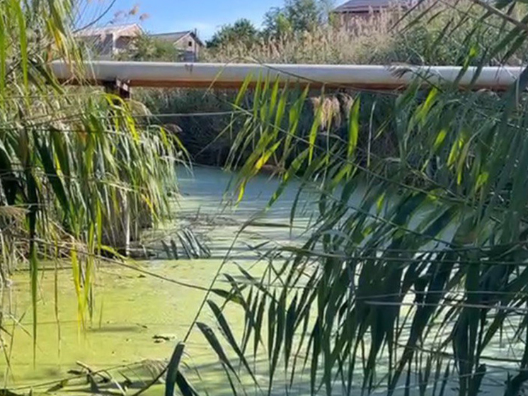 Астраханцы не оставляют попыток спасти любимый водоем