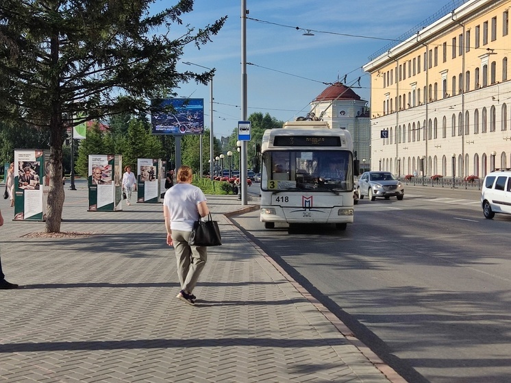 Мошенники предлагают томичам ежедневный заработок в 30 тысяч рублей и просят пройти по ссылке