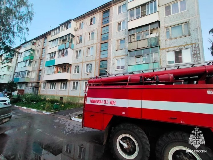 Трех человек спасли на пожаре в многоэтажке сотрудники МЧС в Донском