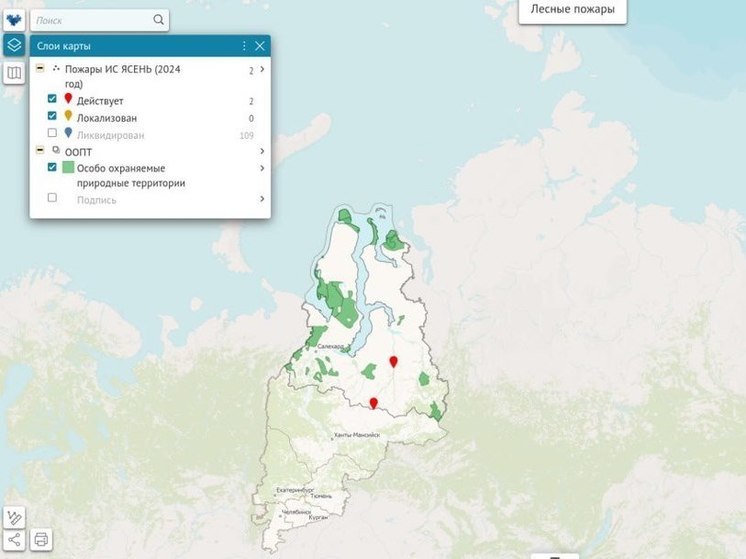 На Ямале продолжают действовать 2 лесных пожара