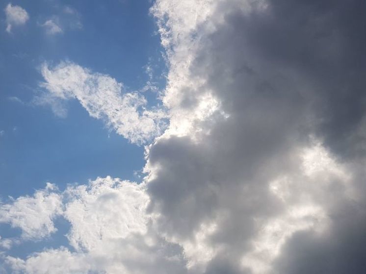 Из-за непогоды в Подмосковье МЧС выпустило экстренное предупреждение