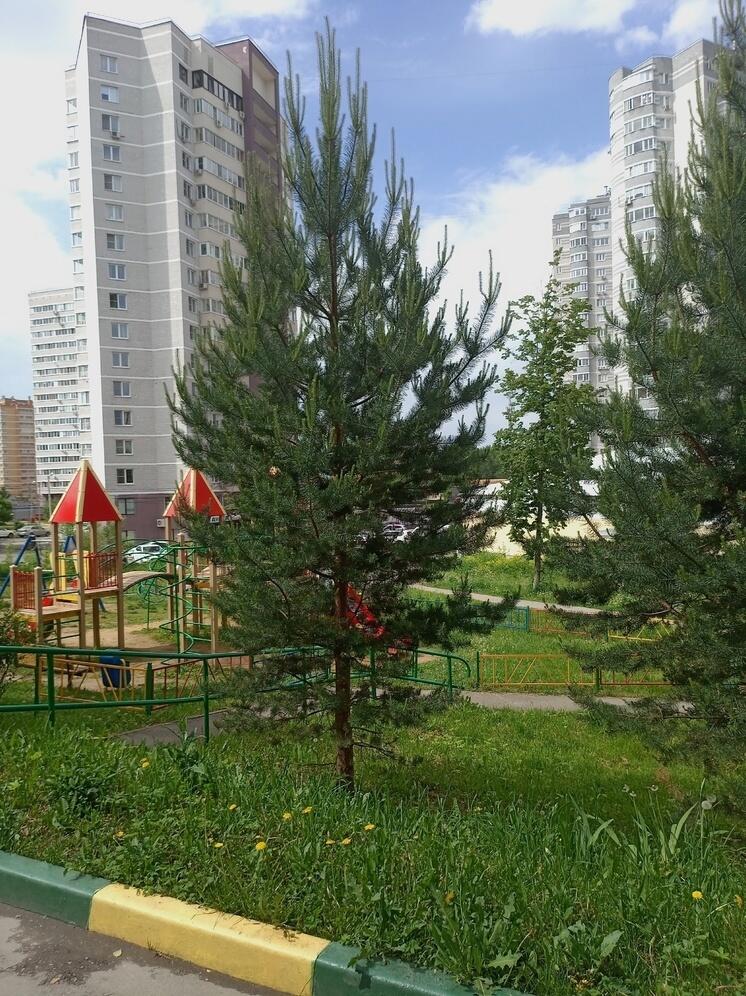 Продажа квартиры может не погасить долг тульского ипотечника