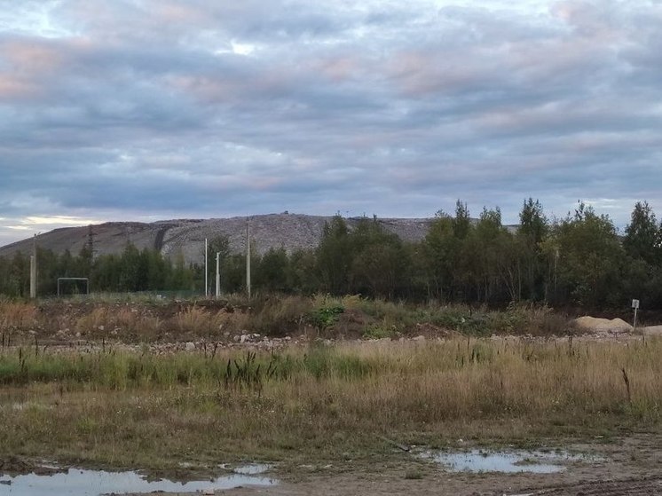 На свалке в Барсуковке установят новые очистные сооружения