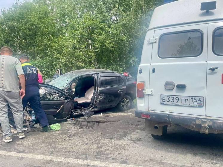 В ДТП в Тогучинском районе Новосибирской области пострадало 5 человек