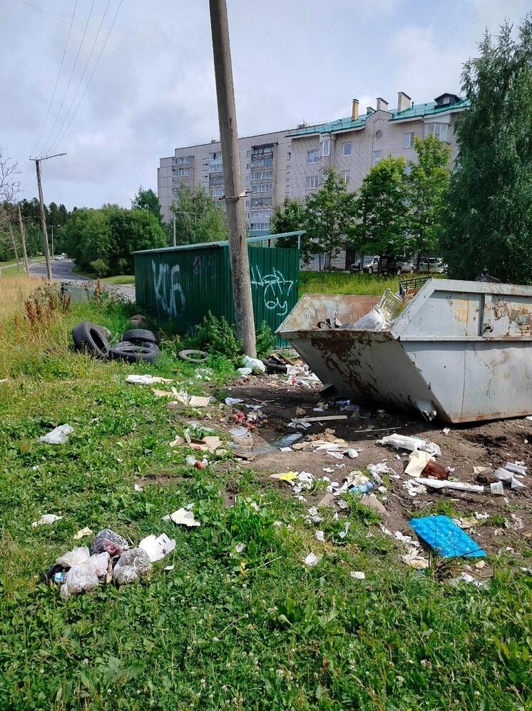 Чудовищные помойки поражают жителей Петрозаводска