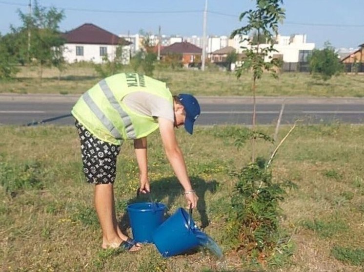 В Курске после ремонта водоотвода напор воды в части города остается низким