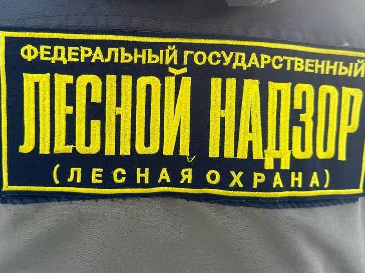 В Бурятии тушат 25 пожаров
