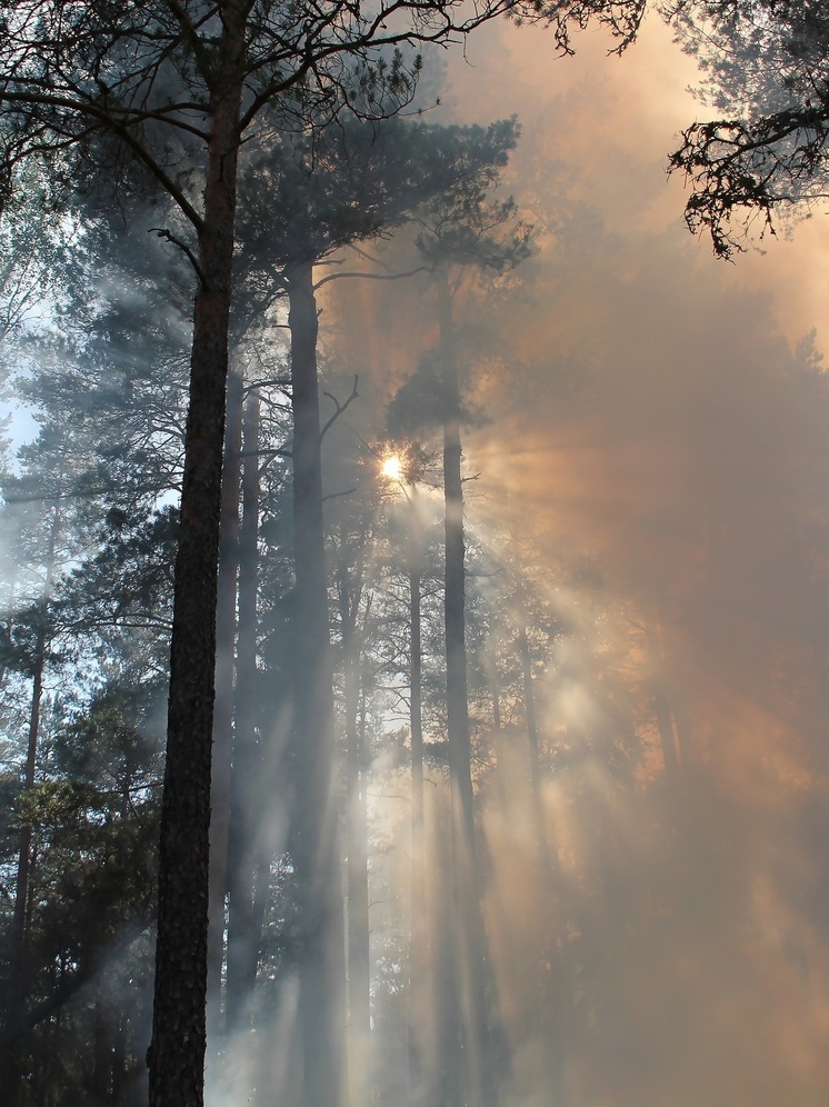 Борьбу с пожарами продолжают в Хабаровском крае