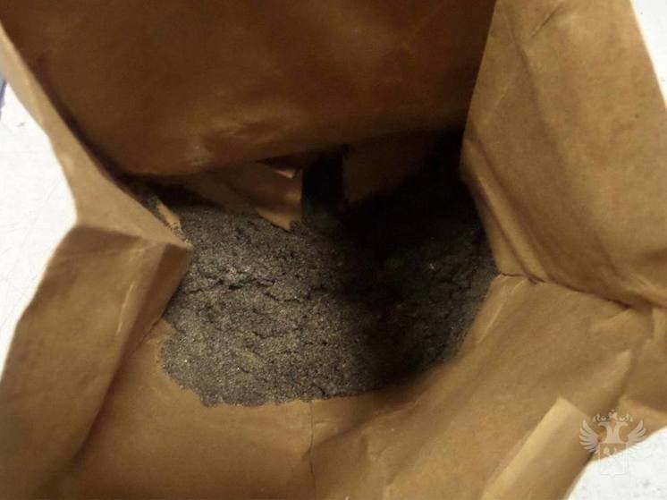 Во Внуково таможенники обнаружили радиоактивный вулканический песок