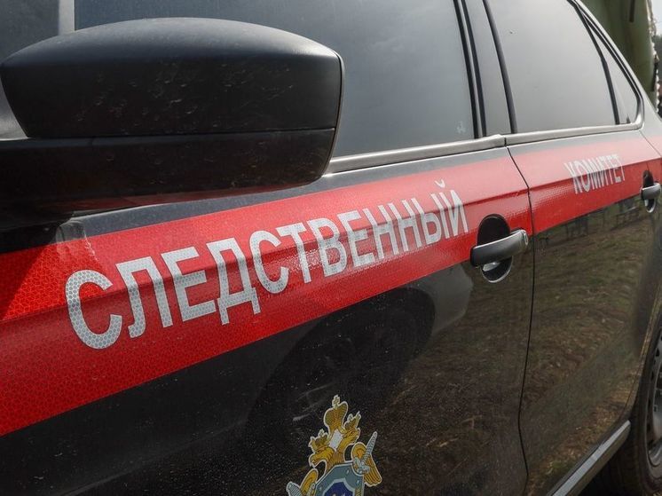 Ивановский СК возбудил дело на полицейских после жалоб россиянки на агрессивного супруга