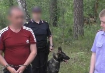 Сотрудники полиции задержали в Ржеве (Тверская область) и Верхней Пышме двух мужчин, обвиняемых в изнасиловании и убийстве, совершенных в 2004 году