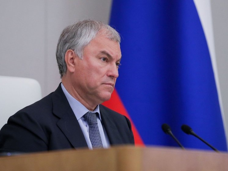 Вячеслав Володин заявил о приоритетности изменения миграционного законодательства РФ