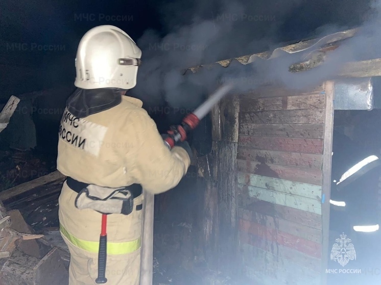 В Орловской области сотрудники МЧС выезжали на вызовы 113 раз за неделю
