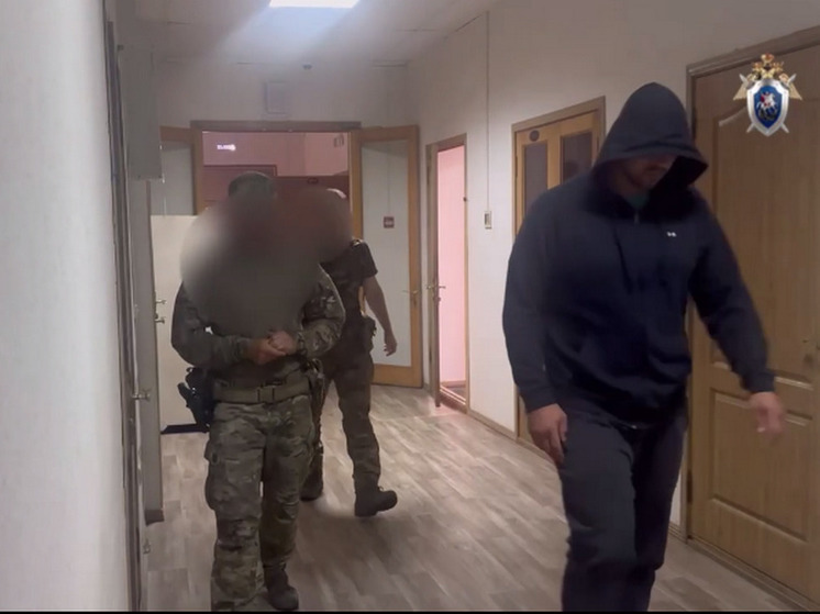 Президент федерации дзюдо Приморья задержан в рамках дела Ясина