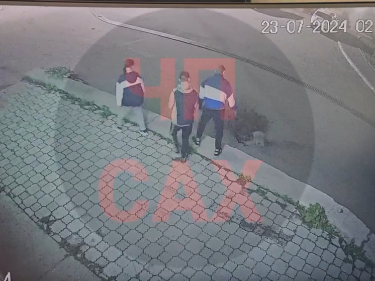  В Холмске малолетние вандалы разбили вазоны на улице Победы