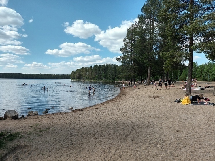 Полиция Карелии будет штрафовать родителей, отпустивших детей купаться одних