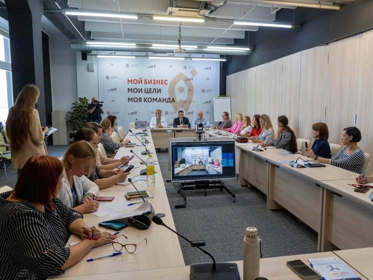 В Новгородской области стартовала программа для самозанятых «Самолет. Бизнес-класс»