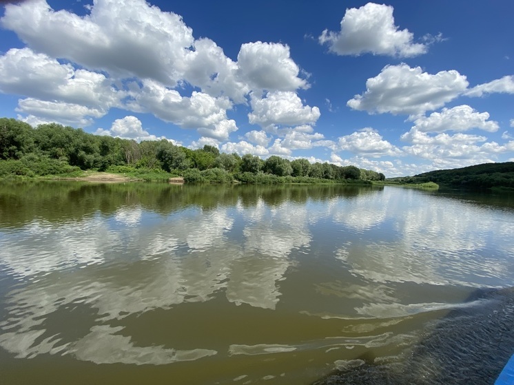 Вода только 7 водоемов Калуги соответствуют санитарным нормам