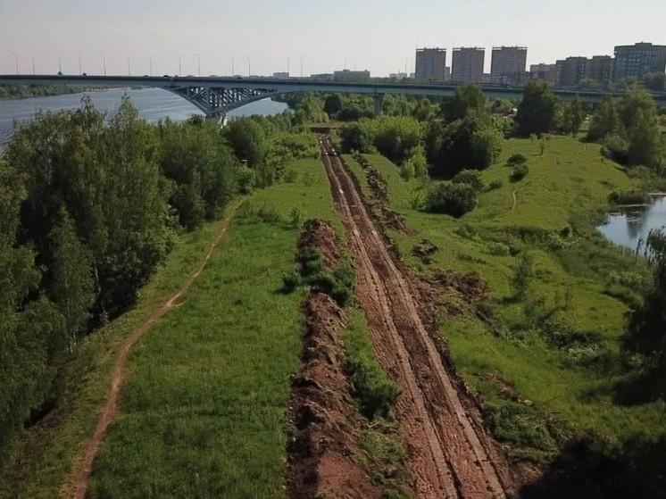 В Подмосковье обнаружили окопы времен Великой Отечественной