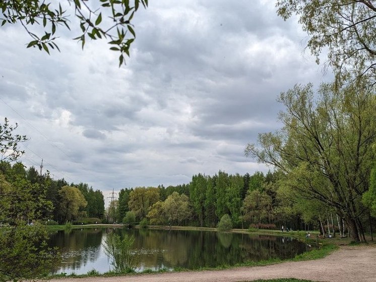 В канаве петербургского парка нашли пенсионерку без сознания