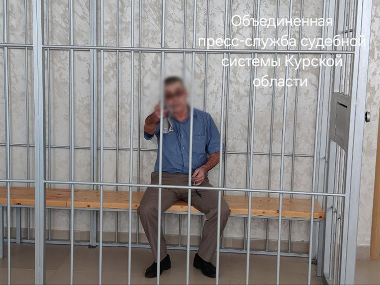 Курский суд огласил приговор мужчине за нападение на 4-летнего мальчика в магазине