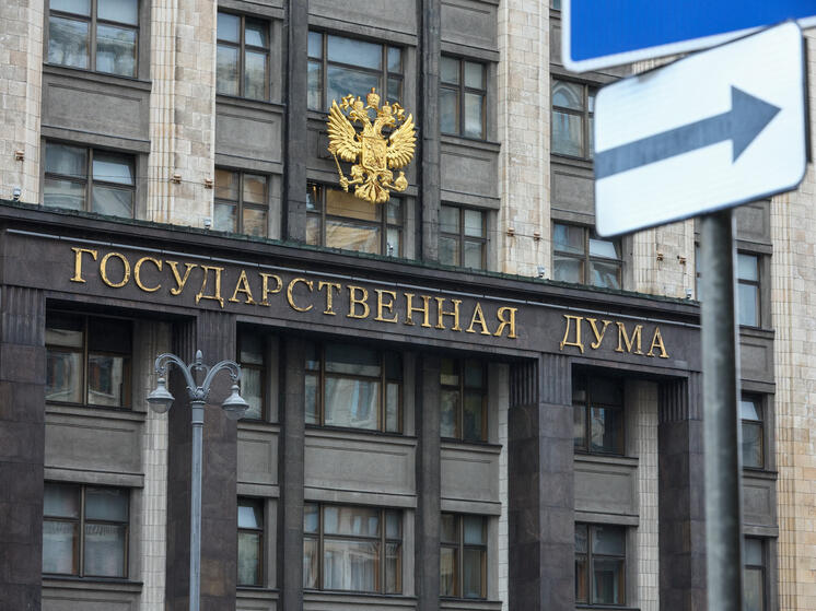 Депутаты хотят ввести институт Уполномоченного при Президенте РФ по защите прав инвалидов