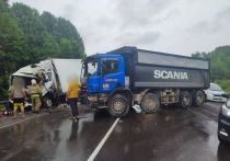 Водитель большегруза Hyundai погиб в результате аварии в Черниговском районе Приморского края