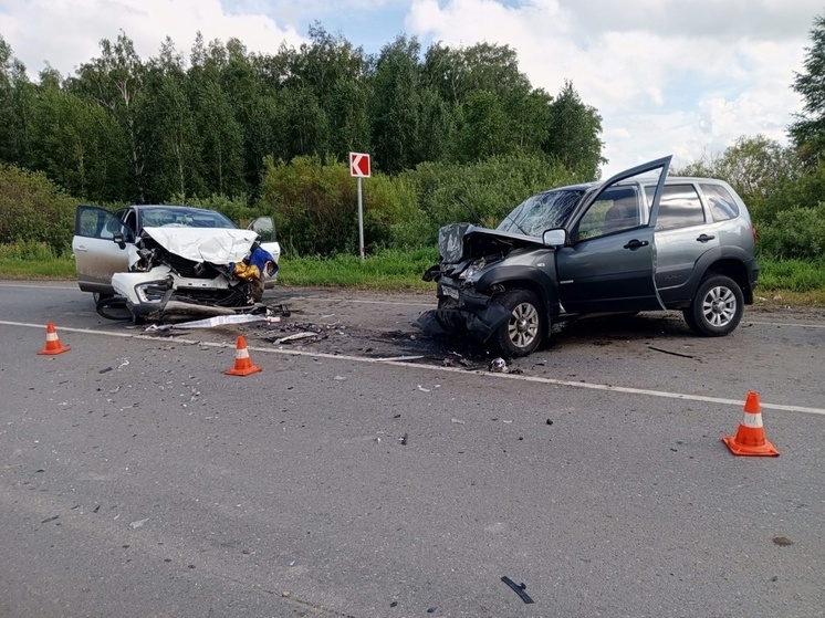 Пять человек пострадали в лобовом столкновении двух автомобилей в Омской области