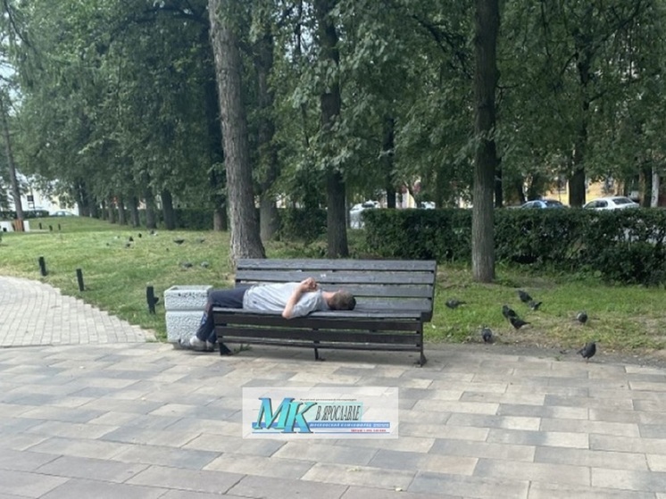Ярославцы рассказали где скамейки используются как лежачие места