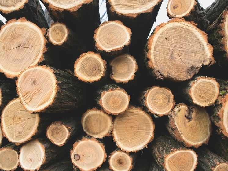 Зафиксирован рост производства лесоматериалов в Хабаровском крае