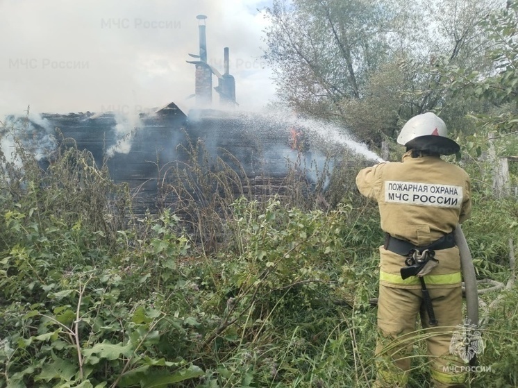 Из-за пала сухой травы под Орлом горел дом