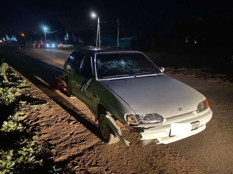 В Нижней Павловке 19-летний водитель сбил пешехода