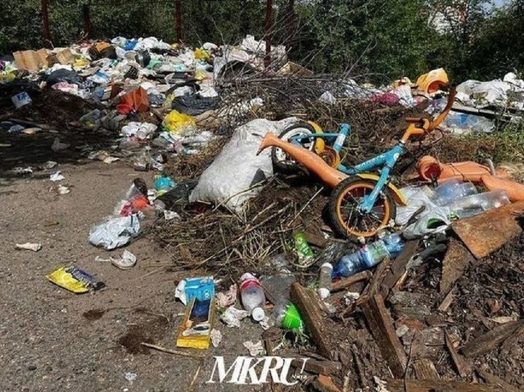 Незаконную свалку на Молодёжной потребовали убрать в Чите