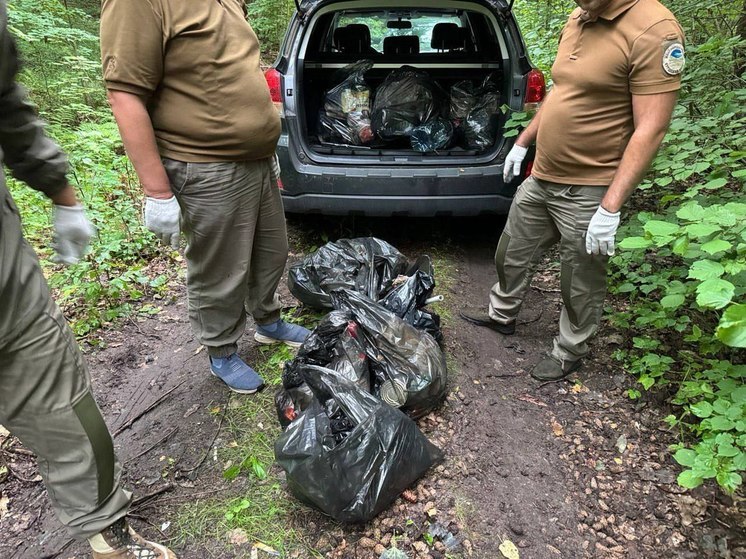 В Виштынецком парке ликвидировали стихийную свалку