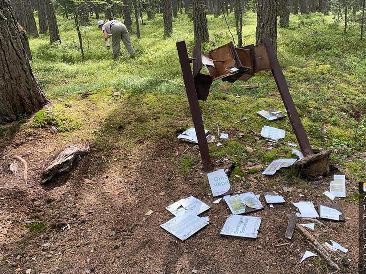 В Ленобласти на экомаршруте вандалы разрушили «Мыс Киперорт»