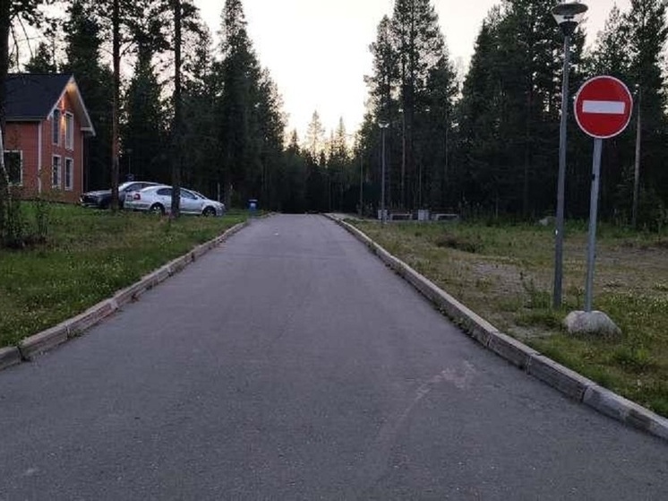 Два пассажира Audi в Апатитах выпали из багажника и получили перелом черепа